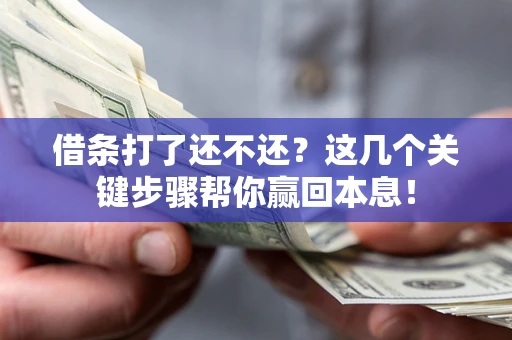 北京借条打了还不还？这几个关键步骤帮你赢回本息！