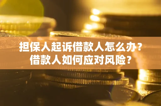 北京担保人起诉借款人怎么办？借款人如何应对风险？